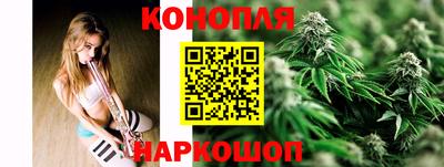 spice Баксан