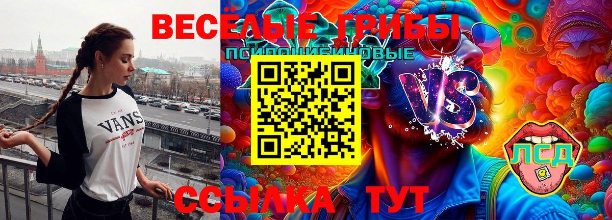 Галлюциногенные грибы GOLDEN TEACHER Сургут